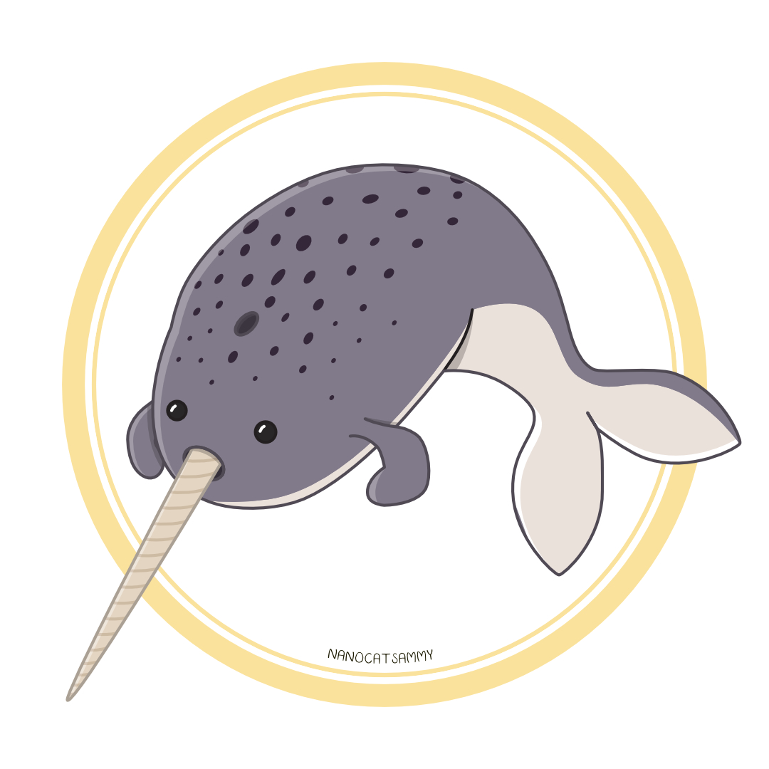 narwhal
