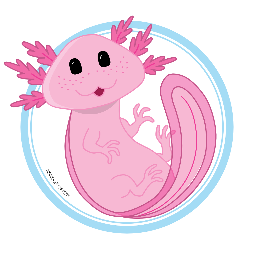 axolotl